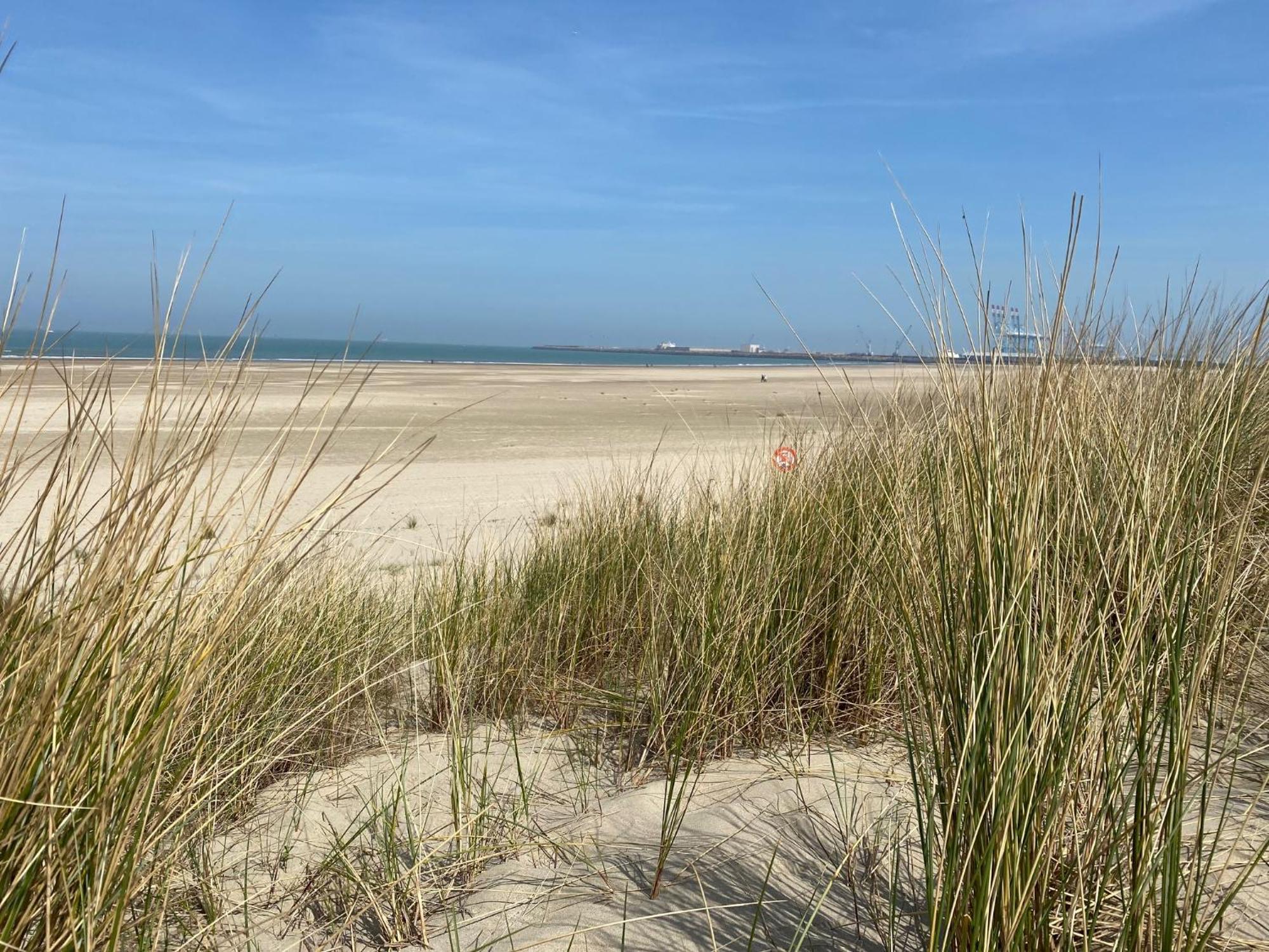 Residentie Nivaria Zeebrugge, Met 1 Slaapkamer Aan De Jachthaven *