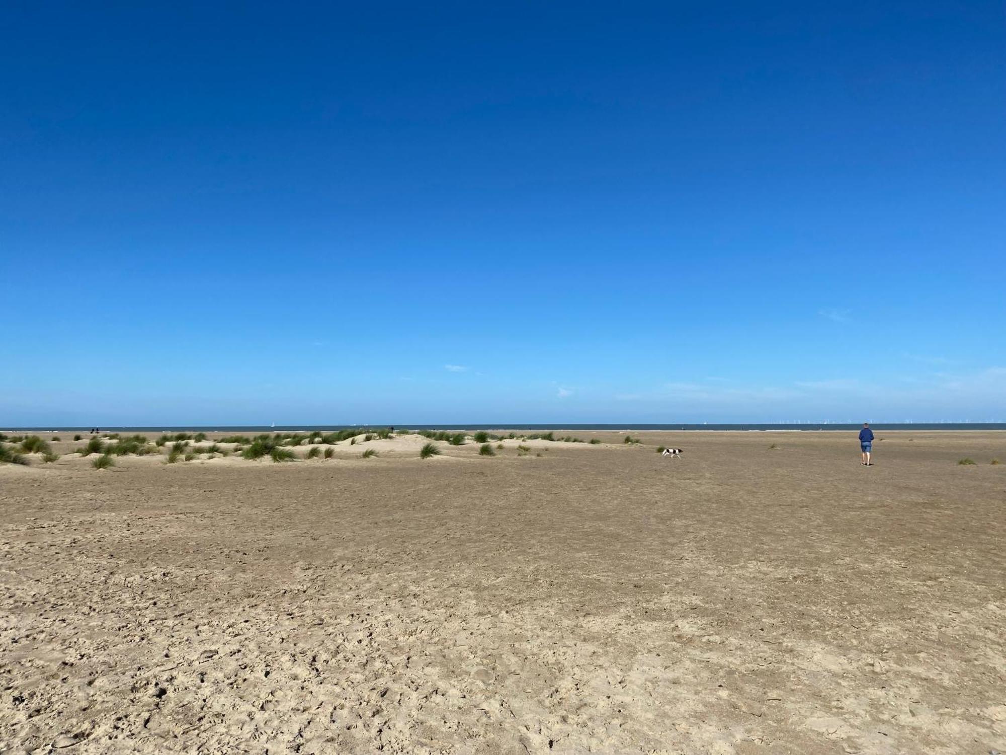 Appartement Residentie Nivaria Zeebrugge, Met 1 Slaapkamer Aan De Jachthaven